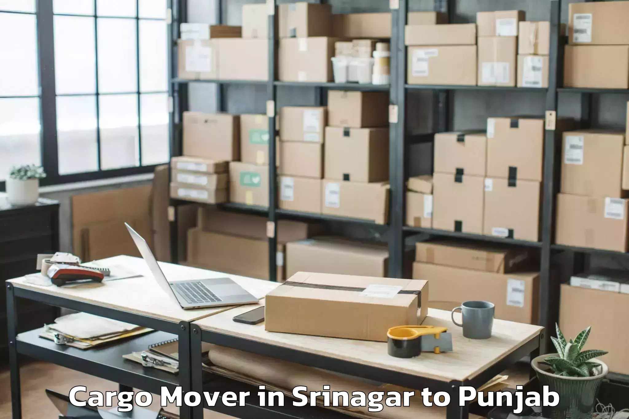 Srinagar to Vr Mall Punjab Cargo Mover Booking